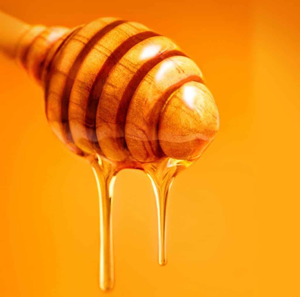 shutterstock_1160485681