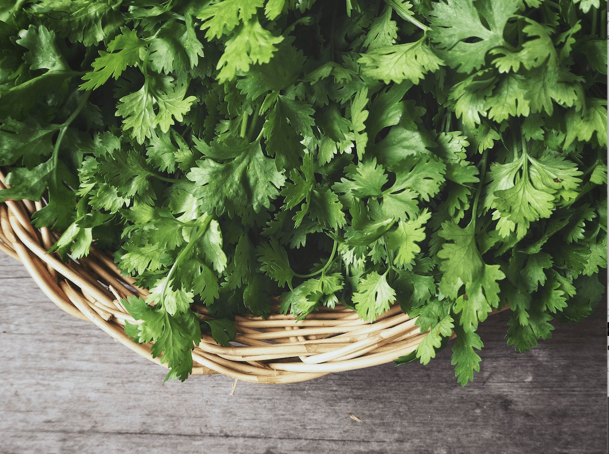 Screen Shot 2020-03-24 at 19.02.45