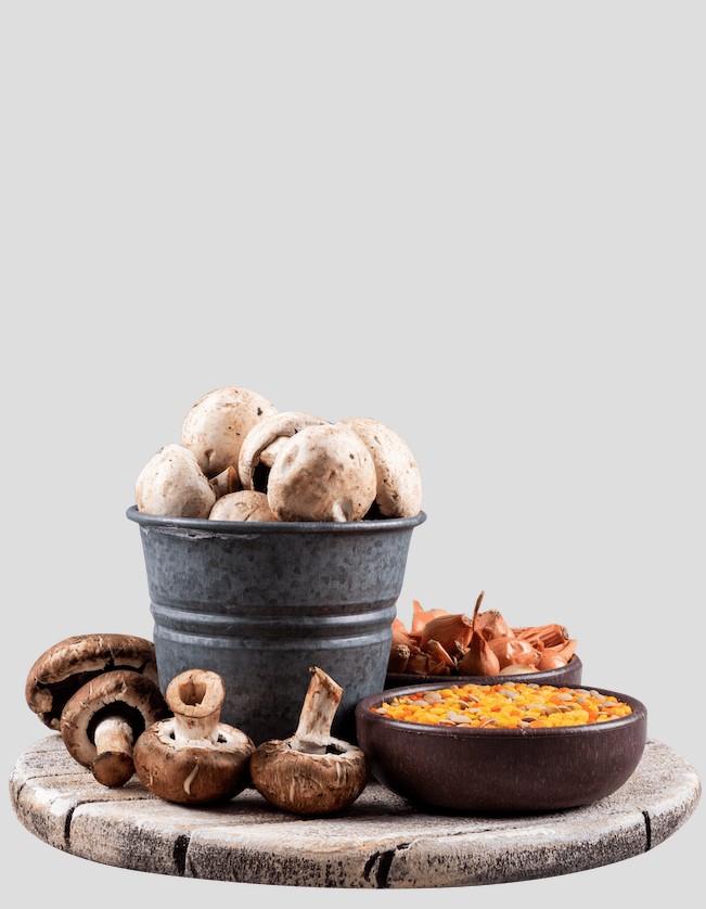 Screen Shot 2020-05-20 at 09.46.34