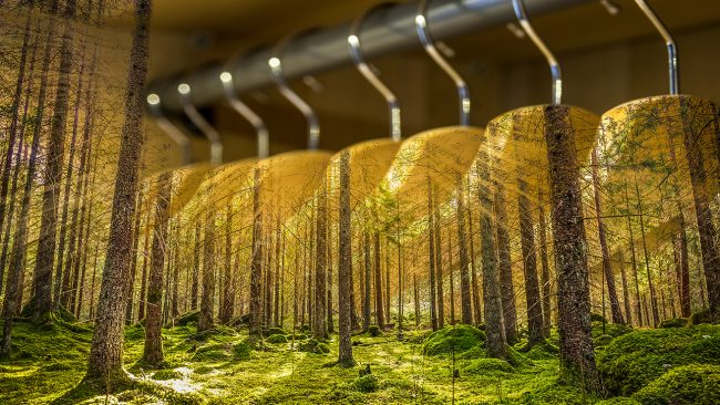 shutterstock-1301213107