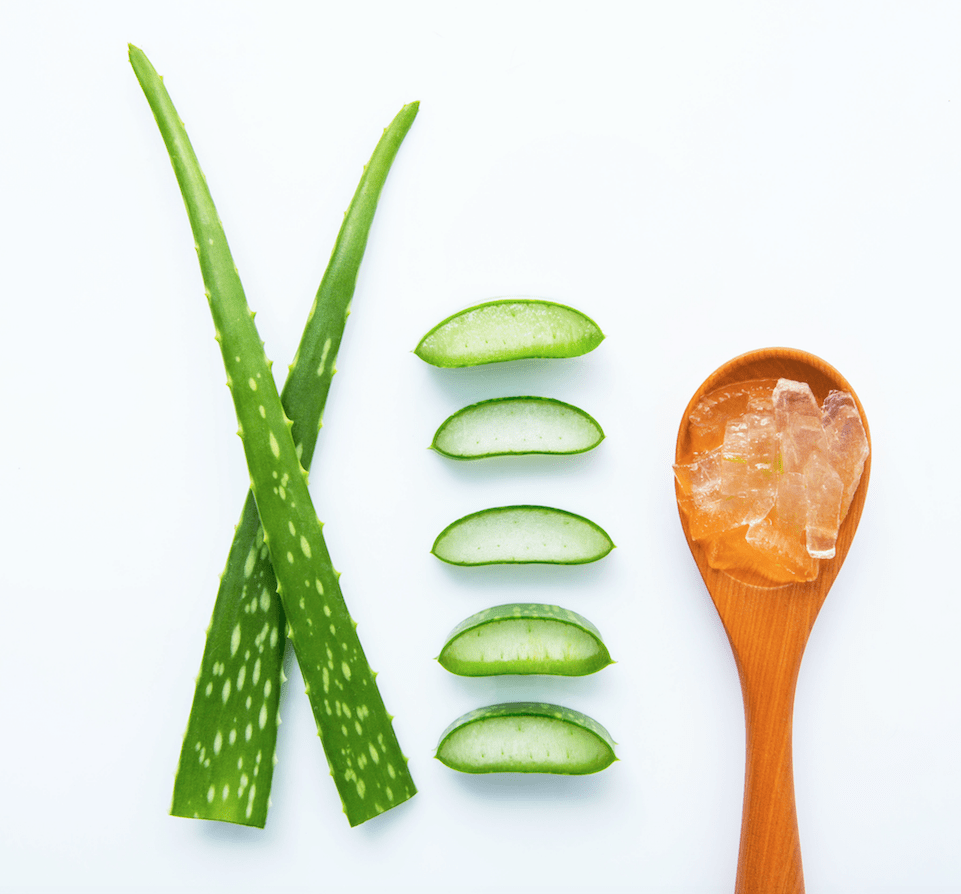 aloevera