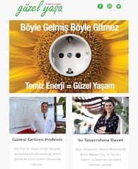 boyle-gelmis