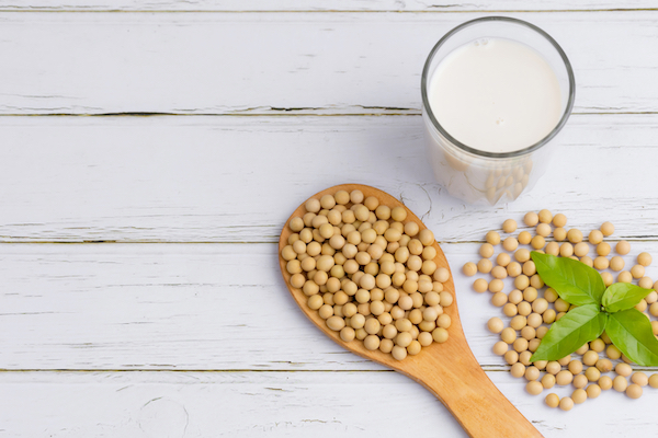Soy,And,Soy,Milk,In,A,Glass,With,Soybeans,In