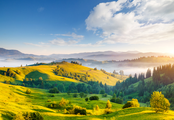 Great,Countryside,Landscape,In,Morning,Light.,Location,Place,Carpathian,Mountains,
