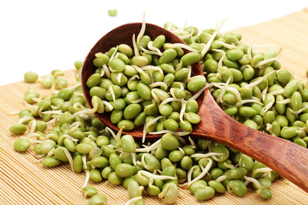 Green,Soybean,Sprouts,On,White,Background