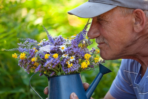 Old,Man,Smelling,Wild,Flowers,In,A,Blue,Metal,Watering