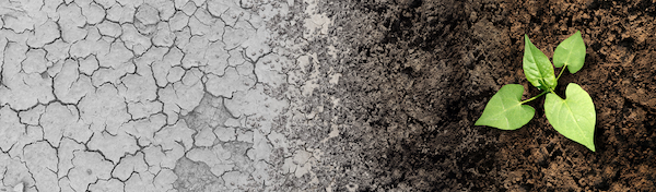 Climate,Change,Cycle,As,A,Dried,Or,Dry,Cracked,Land