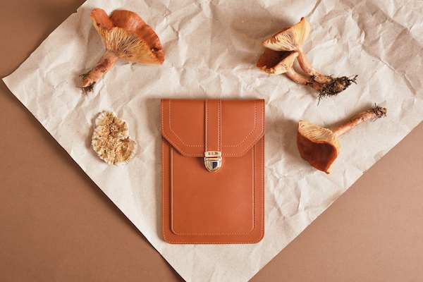 Small,Brown,Bag,And,Mushrooms,On,A,Brown,Background,,Eco-leather