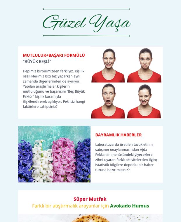 screenshot-620×760 (1)