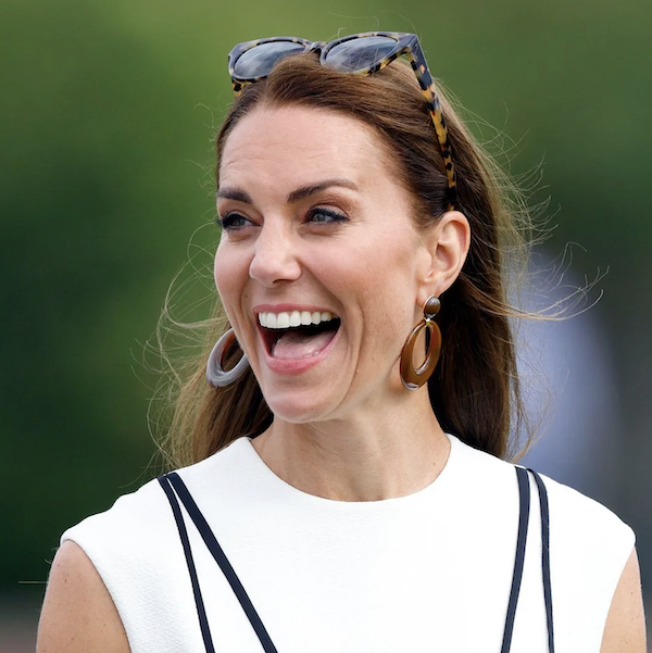 Screen Shot 2023-08-22 at 09.54.23