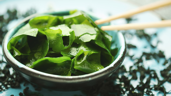 Soaked and dried wakame seaweed. Japanese food. Healthy seafood