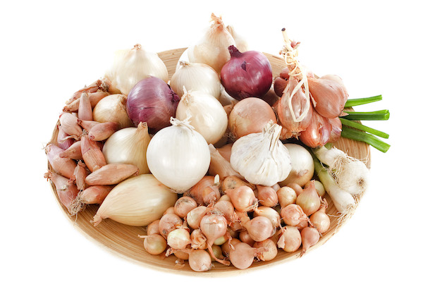 varieties of onions
