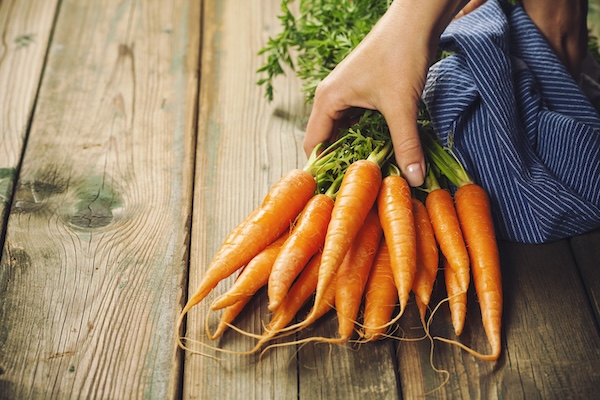 Hands of woman and Fresh Carrots bunch on rustic background